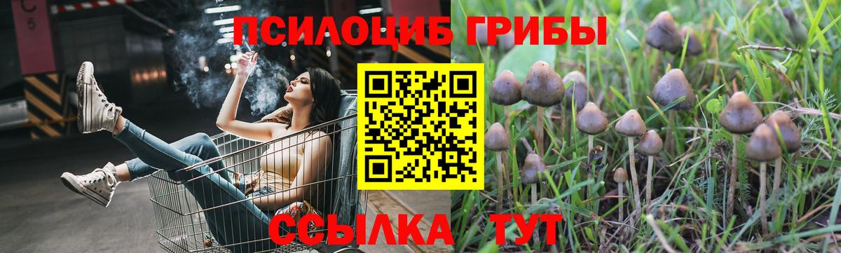 Тобольск  даркнет сайт  Галлюциногенные грибы прущие грибы  Вход с VPN  Псилоцибиновые грибы ЛСД 